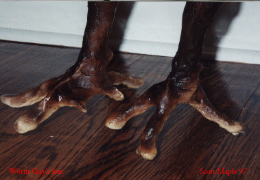 Black guy feet